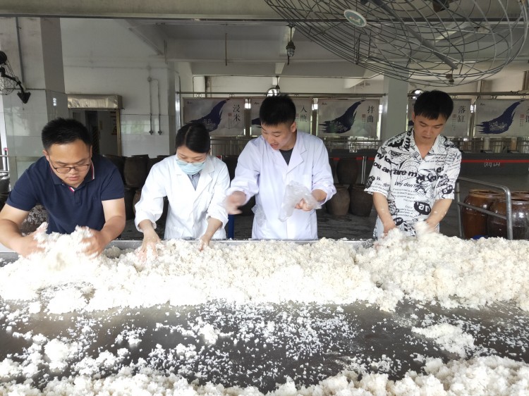 白酒攻关项目组进驻酒企开展白酒工艺研究_副本.jpg